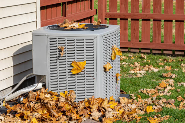 Best Local HVAC companies  in Kayak Point, WA